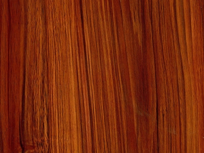 CS301红胡桃木装饰板